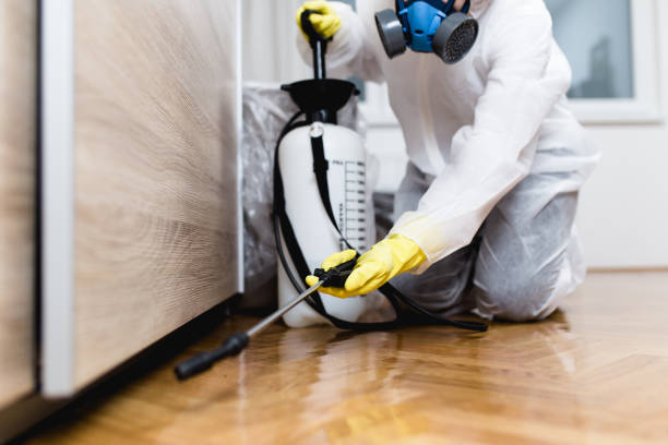 Best Termite Control Services  in Toro Nyon, CA