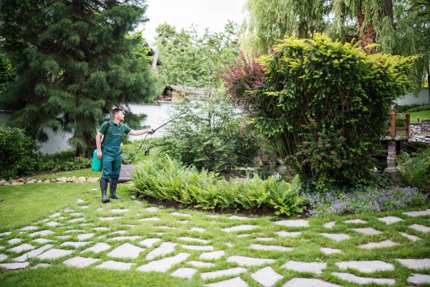 Best Best Pest Control Near Me  in Toro Nyon, CA