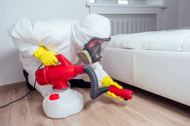 Best Bed Bug Extermination  in Toro Nyon, CA