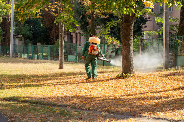 Best Mosquito Control Services  in Toro Nyon, CA