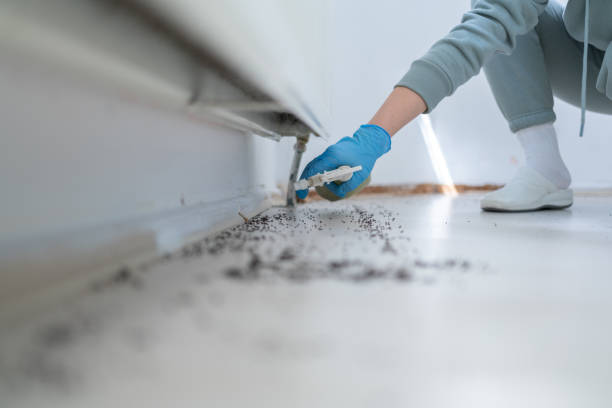 Best Best Pest Control Companies  in Toro Nyon, CA